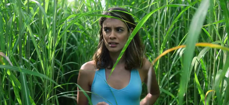 in the tall grass trailer