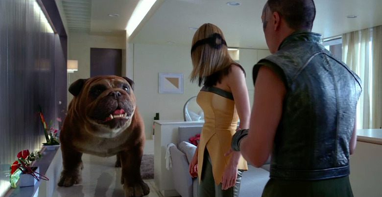 Lockjaw adorable