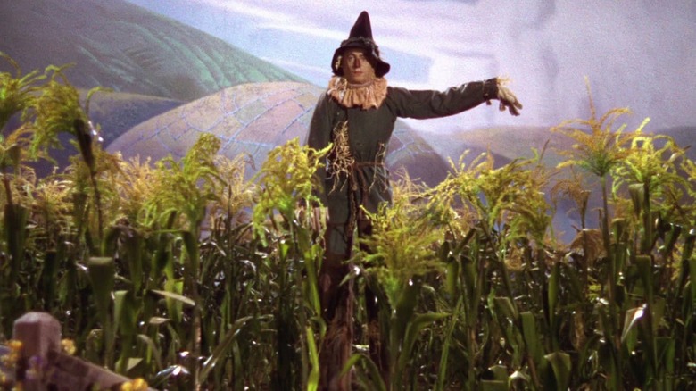 The Wizard of Oz Scarecrow
