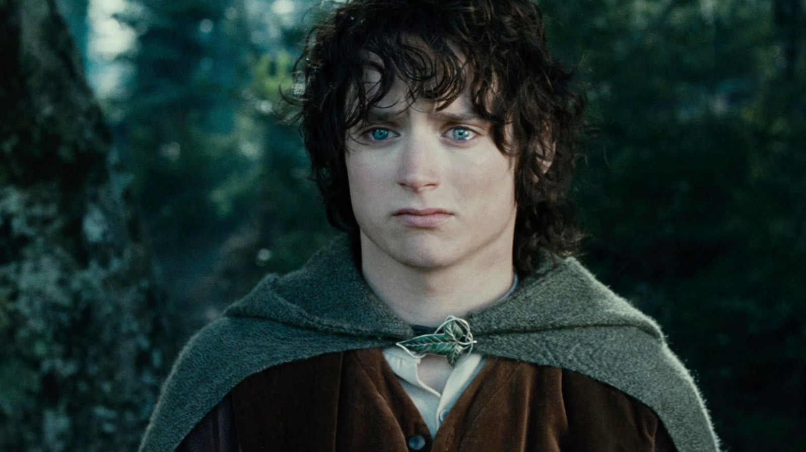 I've Seen Every The Lord Of The Rings Movie And TV Show And The Fellowship Of The Ring Is The Best Adaptation Of The Original Books