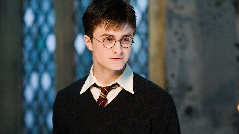 Daniel Radcliffe as Harry Potter