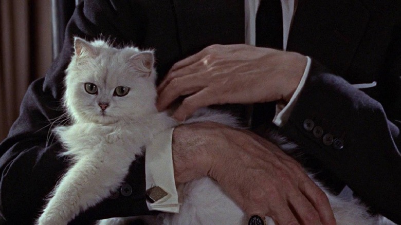 Blofeld cat James Bond villain