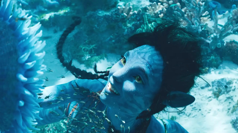 James Cameron: Directing Only Avatar Films Won't Ruin My Career