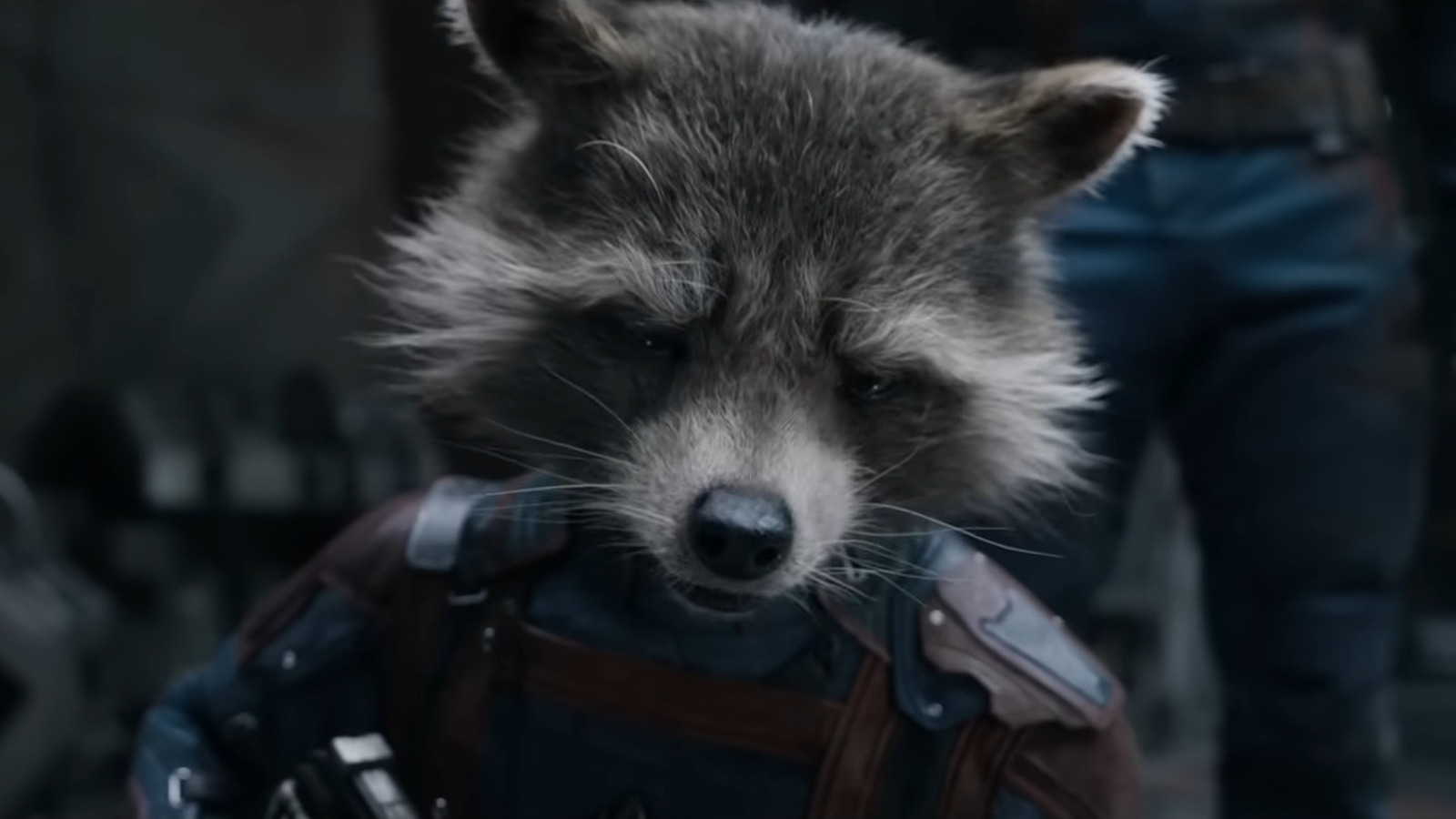 James Gunn a dessiné à la main chacun des amis animaux de Rocket dans Les Gardiens de la Galaxie 3