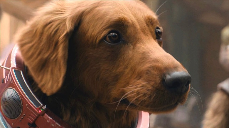 James Gunn's Dog Obsession Repeatedly Hindered Production On Guardians ...