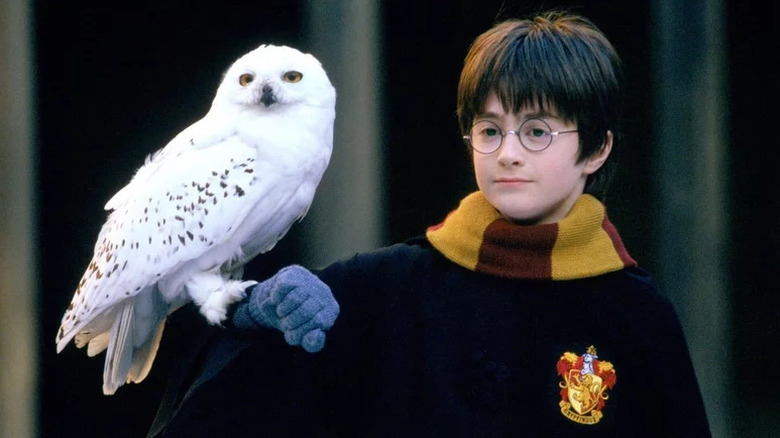 Daniel Radcliffe sosteniendo un búho en sus brazos en Harry Potter y la piedra filosofal