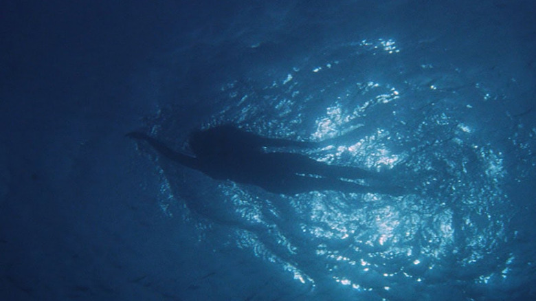 Jaws opening scene Chrissy swimming