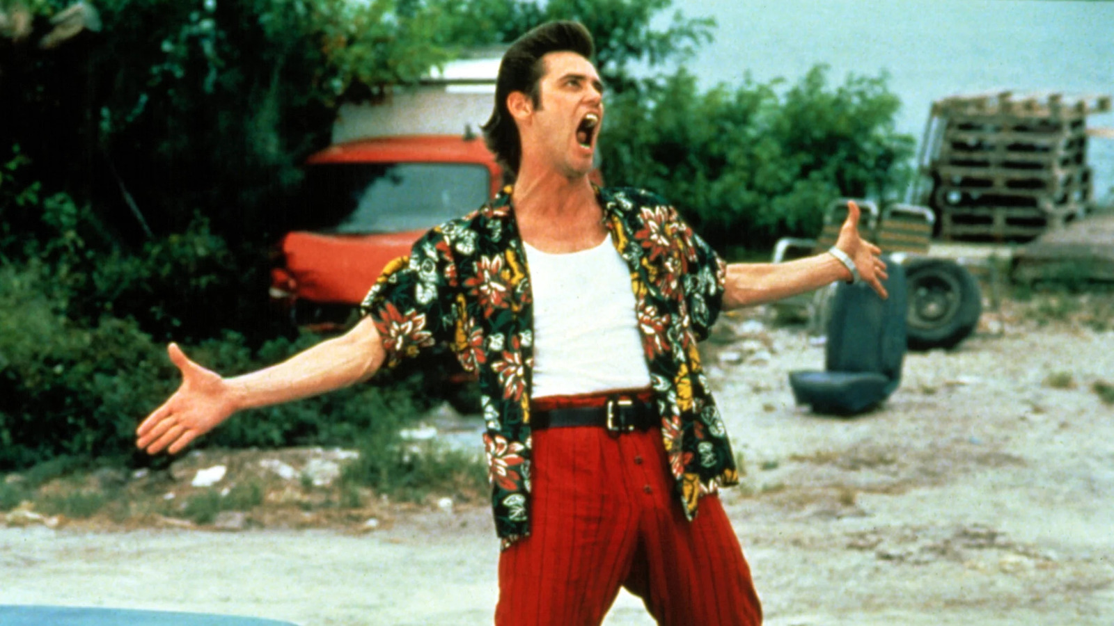 Jim carrey in ace ventura sales pet detective