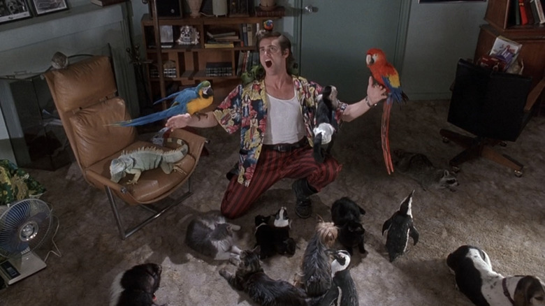 Jim Carre's Ace Ventura Kneels in his apartment surrounded by animals at ACE Ventura Pet Detective