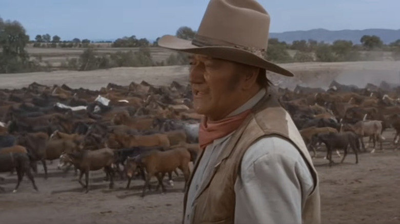Colonel John Henry Thomas speaks at the John Wayne Union Army with someone outside the screen while livestock passes in the background in a disgrace.