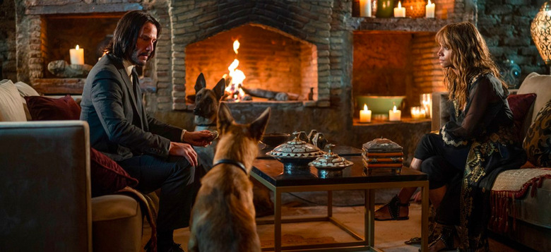 john wick chapter 3 dogs