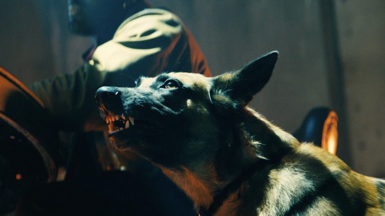 Dog in John Wick 4