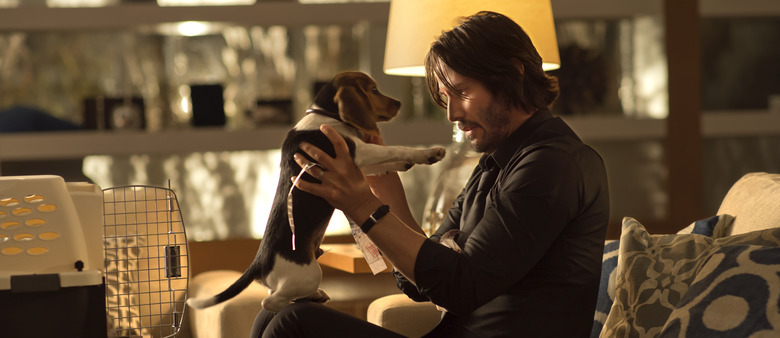 John Wick tv series