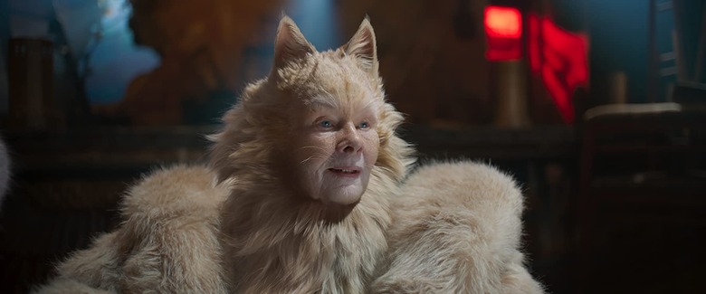 judi dench cats