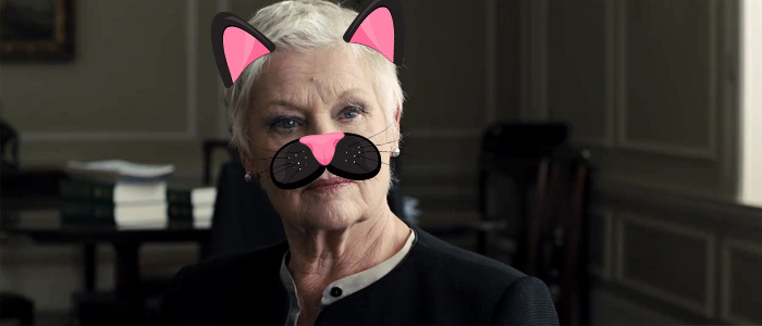 Judi Dench Cats