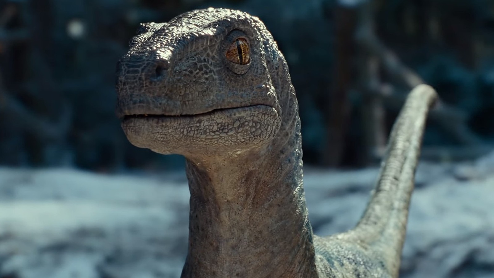 Jurassic World: Dominion' director says that 'there probably should have  only been one 'Jurassic Park