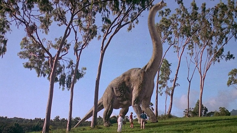 The Brachiosaurus eats from a tree in Jurassic Park