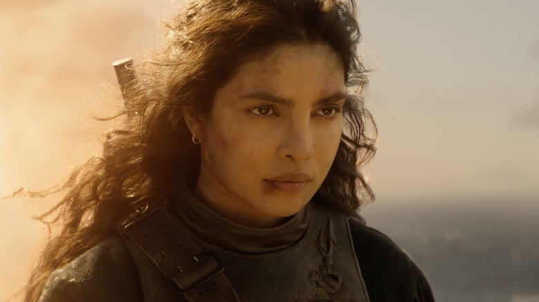 ఎర్సెల్ ది బ్లఫ్‌లో కొన్ని జ్వాలల ముందు నిక్కచ్చిగా చూస్తున్నాడు