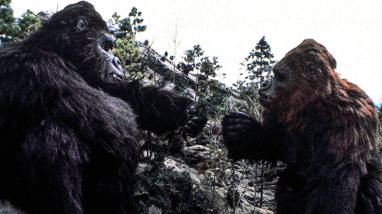 Kong and Lady Kong fist bump