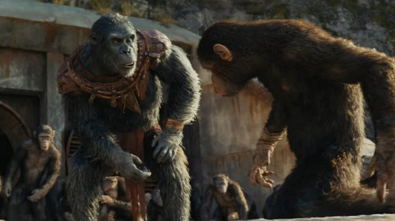 Noa and Proximus Caesar Kingdom of the Planet of the Apes