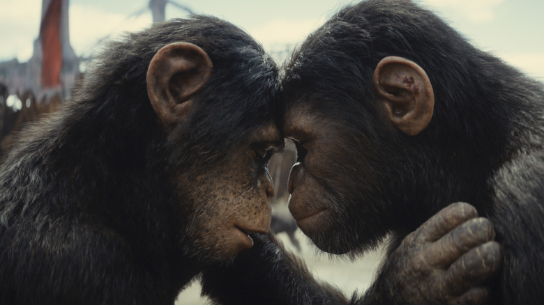 Kingdom of the Planet of the Apes