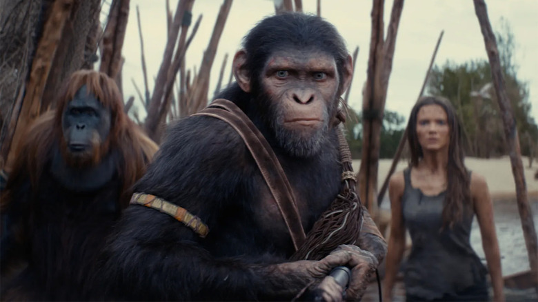 Noah, Raka, and May stare off into the distance in Kingdom of the Planet of the Apes