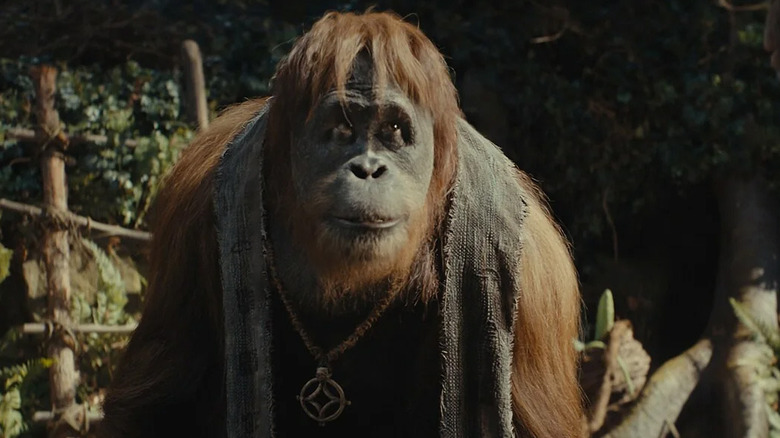 Noah and Raka by a fire in Kingdom of the Planet of the Apes