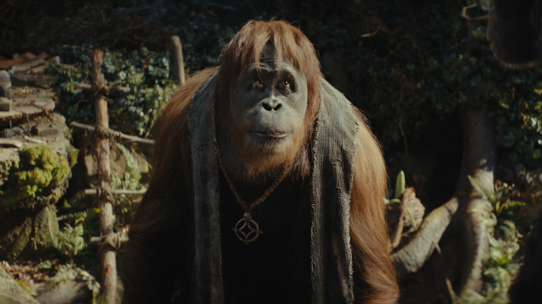 Kingdom of the Planet of the Apes