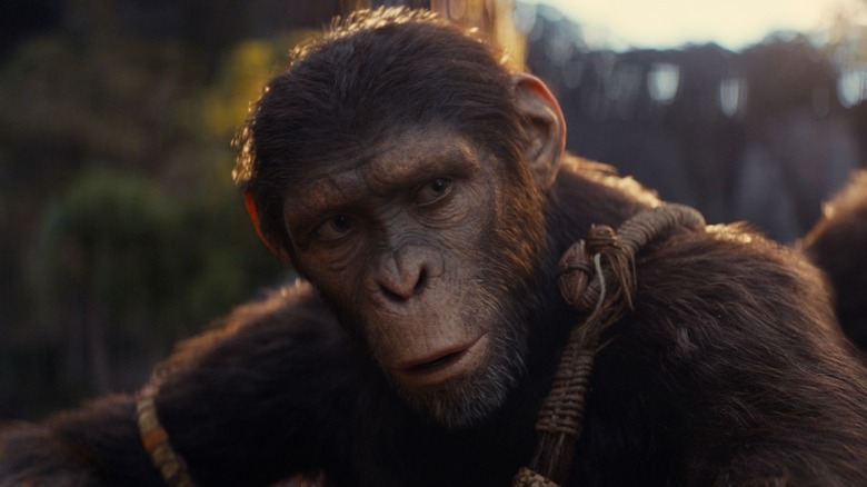 Owen Teague, Kingdom of the Planet of the Apes