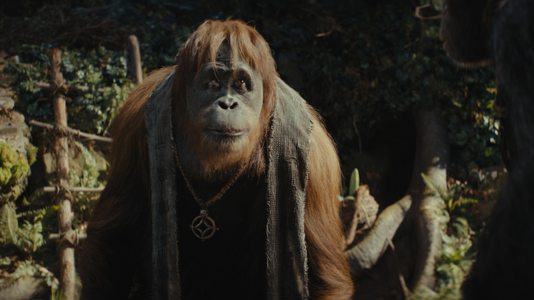 Kingdom of the Planet of the Apes