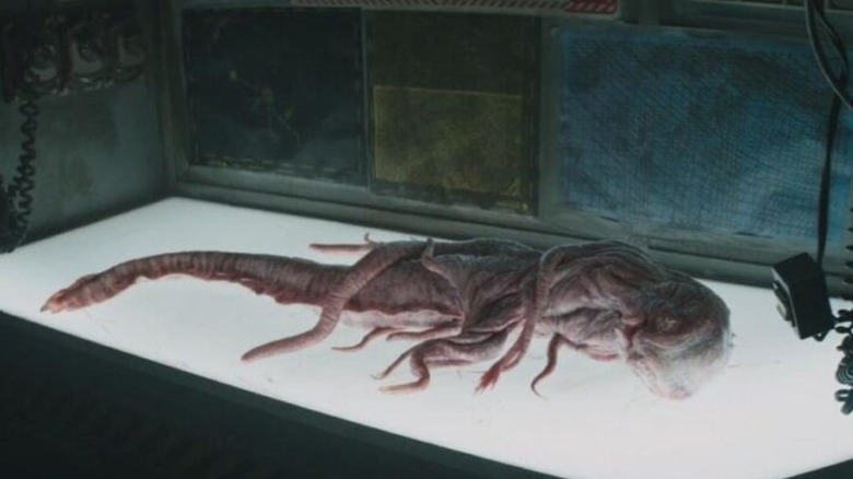 A creature on a light-up bio-bed in Underwater