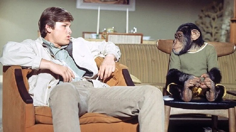 Steven Post and Raffles sitting in chairs in The Barefoot Executive