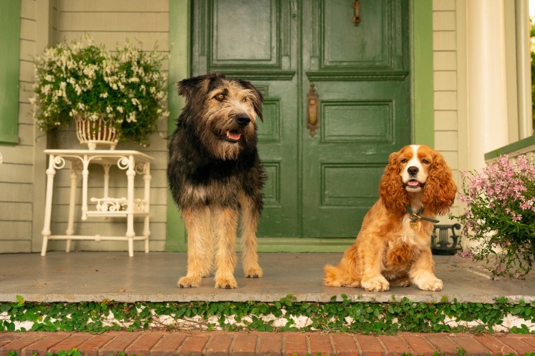 Lady and the Tramp Review