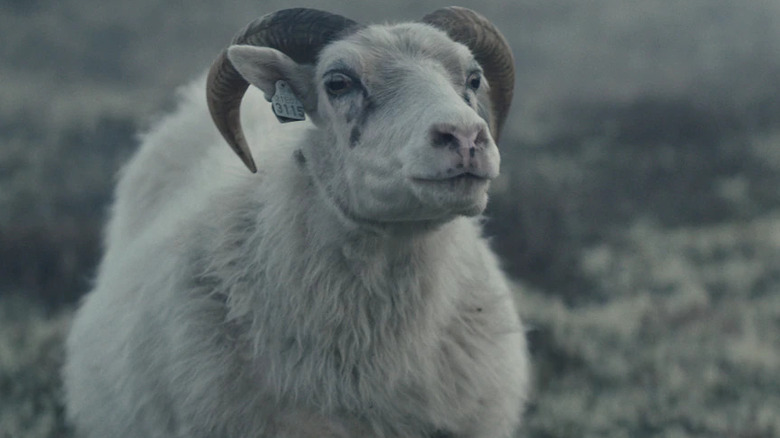 Lamb, Ada's biological mother