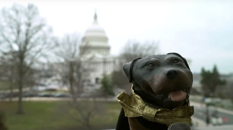 Triumph Insult Comic Dog US Capitol