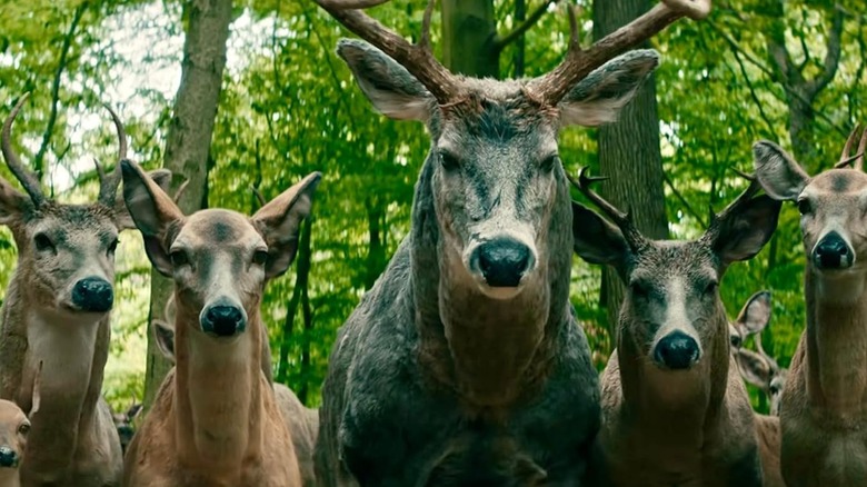 Leave the World Behind, deer