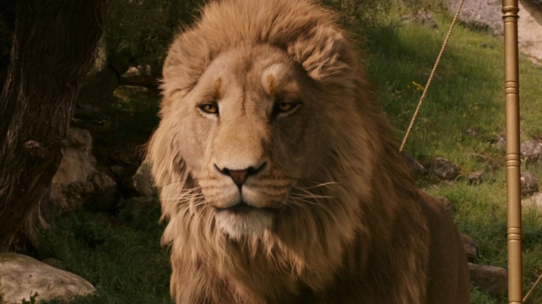 Aslan in The Lion, The Witch, and the Wardrobe
