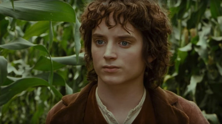 Frodo Baggins (Elijah Wood) stands in a cornfield in The Lord of the Rings: The Fellowship of the Ring