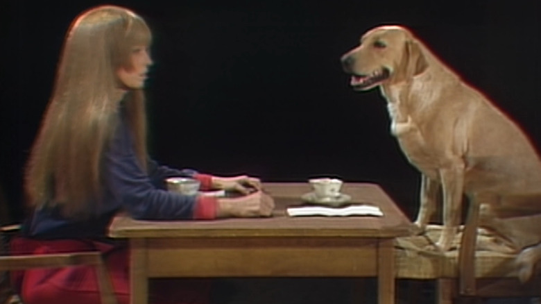 Saturday Night Live, Louise Lasser talking to a dog