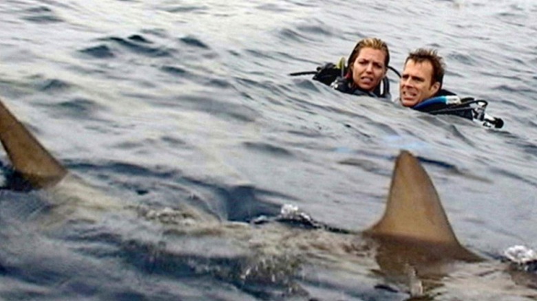Open Water