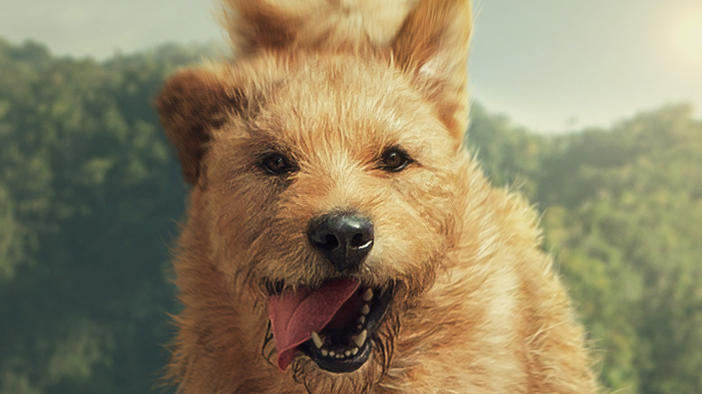 Arthur the King movie poster 