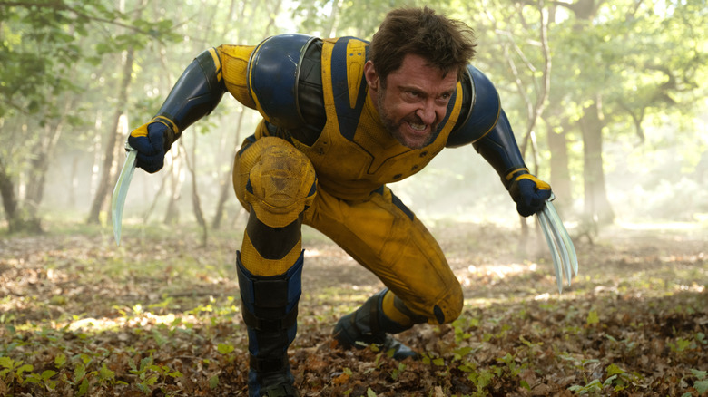 Hugh Jackman as Wolverine crouching and baring his claws in a forest in Deadpool & Wolverine