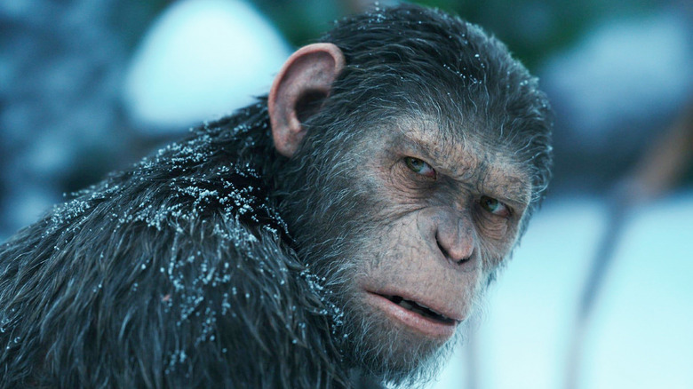 Andy Serkis as Caesar in War for the Planet of the Apes