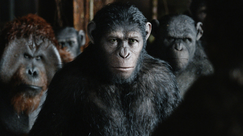 Andy Serkis as Caesar in Dawn of the Planet of the Apes