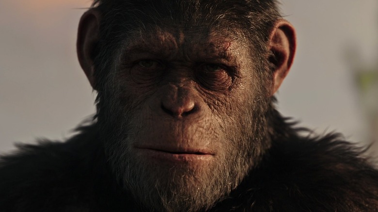Caesar in War for the Planet of the Apes