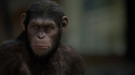 Serkis Rise of Apes