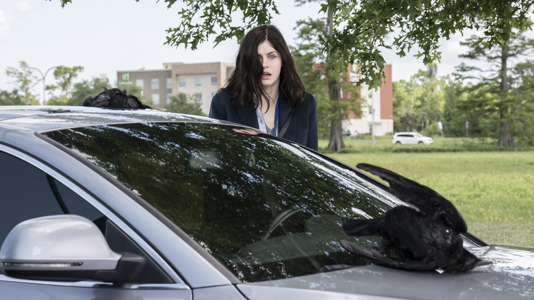 Rowan, dead crows on car in Mayfair Witches