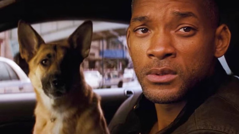 Will Smith as Robert Neville sat with Sam the dog in I Am Legend