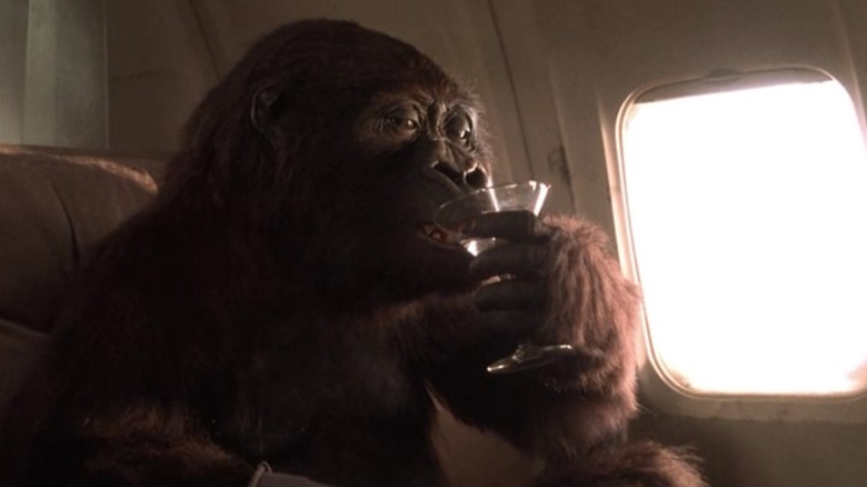 అమీ కాంగోలో తన ప్రైవేట్ జెట్‌లో పవర్ మార్టినిని కలిగి ఉంది