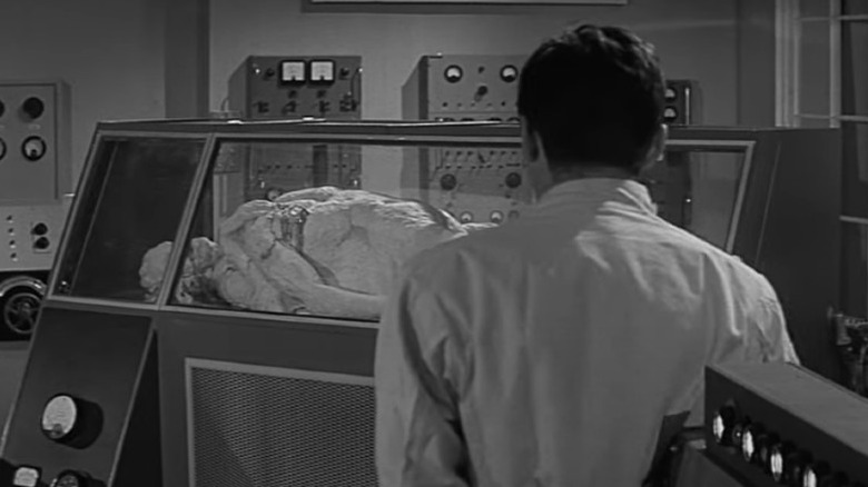 Mangled bodies in pod Curse of the Fly
